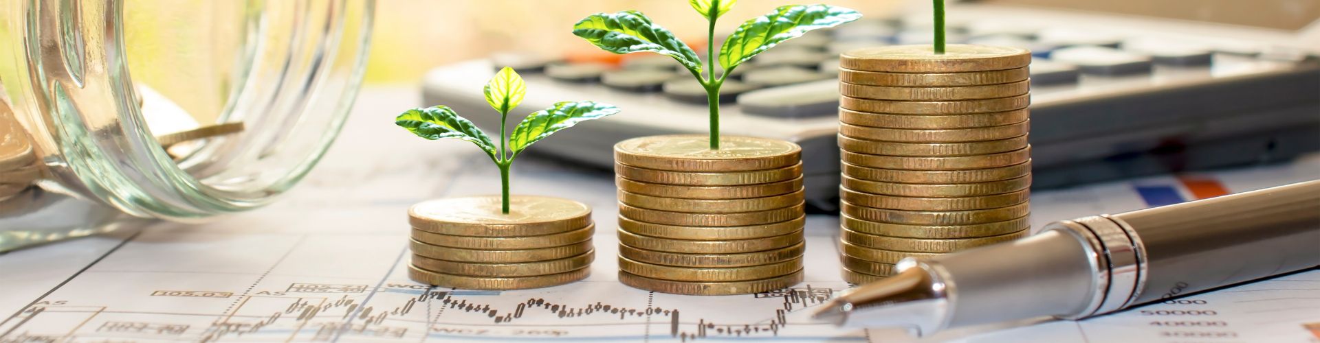 Wachstum-finanzielle-Freiheit-Netzjuwel Der Netzjuwel Blog - Beiträge zu passivem Einkommen